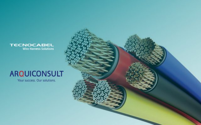 TESTEMUNHOS DE LIDERANÇA DURANTE O SURTO COVID-19: TECNOCABEL
