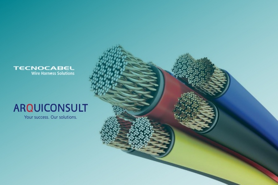TESTEMUNHOS DE LIDERANÇA DURANTE O SURTO COVID-19: TECNOCABEL