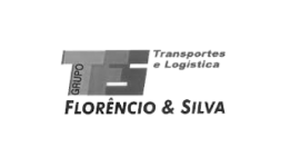 TFS - Transportes Florêncio e Silva, Nelson Lopes, Dir. de Logística