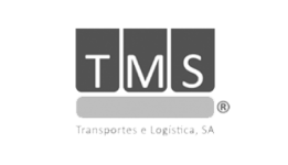 TMS, Henrique Martins, Administrador